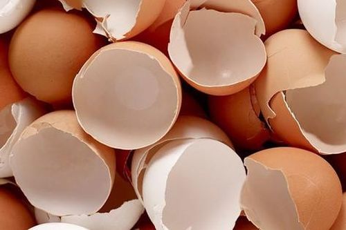 19 bài thuốc chữa bệnh từ vỏ trứng gà