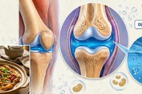 3 món ăn giúp 'bôi trơn' khớp gối cho người trung niên và cao tuổi