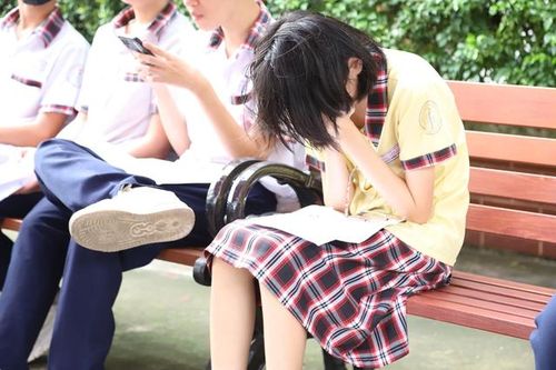 Chuyên gia cảnh báo nguy cơ rối loạn lo âu, trầm cảm do áp lực thi cử ở học sinh