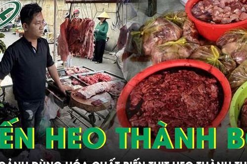 Cận cảnh quy trình dùng hóa chất 'biến' 65 tấn thịt heo thành thịt bò ở TP.HCM
