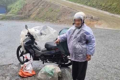 Khởi tố vụ mua bán trái phép 1 cá thể rắn hổ chúa