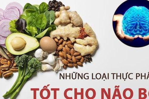 Các chất bổ sung cải thiện trí nhớ trong mùa thi: Hiểu đúng để dùng hiệu quả
