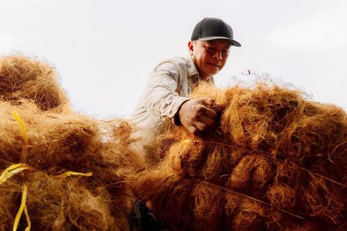 Từ vỏ dừa bỏ đi đến 'mỏ vàng' ven sông Thom
