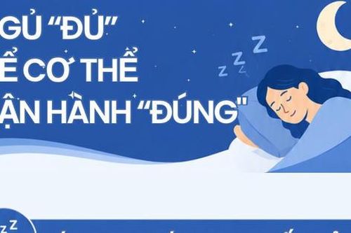 Ngủ 'đủ' để cơ thể vận hành 'đúng'