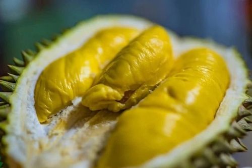 8 sai lầm khi ăn sầu riêng khiến gan 'kêu cứu'