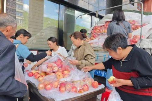 Bệnh nhân bị đột quỵ, bệnh viện giúp bán hết veo 4 tấn táo ở TQ