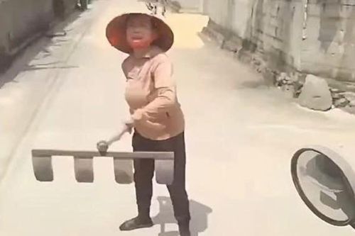 Clip người phụ nữ hành hung tài xế vì bị nhắc chuyện phơi lúa ra đường