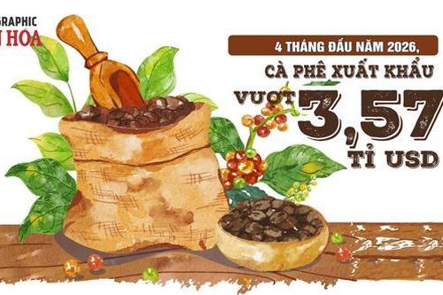 Xuất khẩu cà phê Việt Nam 4 tháng đầu năm 2026 đạt 3,57 tỉ USD