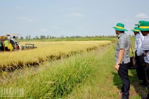 Nhiều sai phạm trong quản lý đất đai tại xã Đông Hòa, tỉnh An Giang