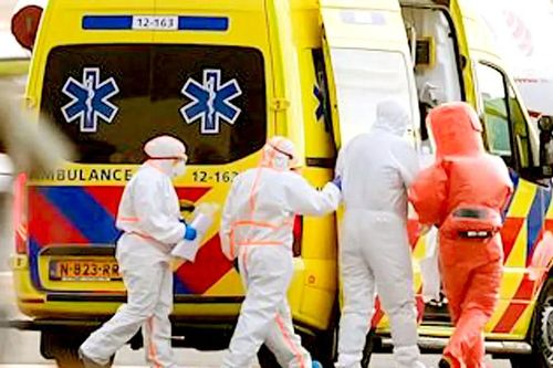 Các nước nỗ lực ngăn chặn virus Hanta
