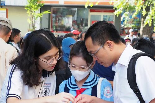 TPHCM: Khảo sát tuyển sinh vào lớp 6 đồng loạt diễn ra vào ngày 1-7