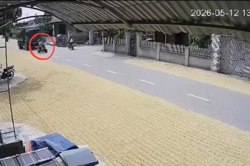 'Chiếm' đường phơi lúa, rơm rạ dẫn tới tai nạn bị xử lý thế nào?