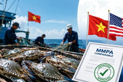 Tin vui với ghẹ Việt Nam xuất Mỹ