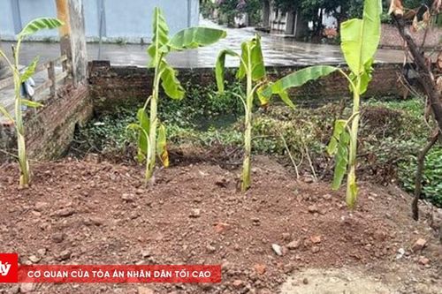 Xử phạt một cá nhân san lấp ao trái phép