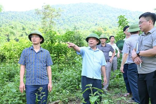 Lãnh đạo tỉnh kiểm tra công tác khắc phục hậu quả thiên tai ở 2 xã Chiêu Lưu và Lượng Minh