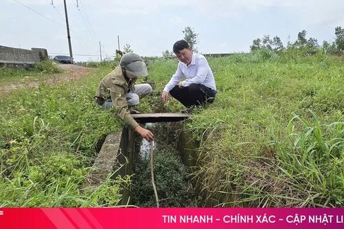 Hơn 100 ha đất trồng lúa vùng hạ du sông Rác… 'khát' nước!