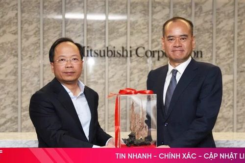 Hà Tĩnh thúc đẩy hợp tác đầu tư với Tập đoàn Mitsubishi