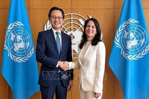 Việt Nam nỗ lực thúc đẩy Hội nghị kiểm điểm NPT đạt kết quả thực chất