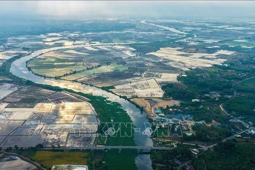 Sông Vàm Cỏ Đông bị ô nhiễm nghiêm trọng
