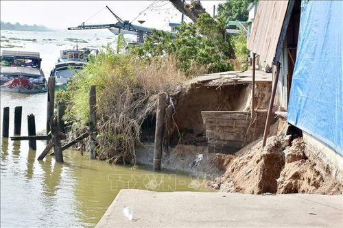 Gia tăng sạt lở, An Giang triển khai đồng bộ giải pháp ứng phó