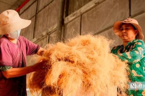 Làng xơ dừa lớn nhất miền Tây tất bật ngày đêm