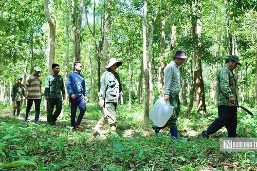 Truy quét 'thòng lọng tử thần' giữa đại ngàn Tây Nguyên