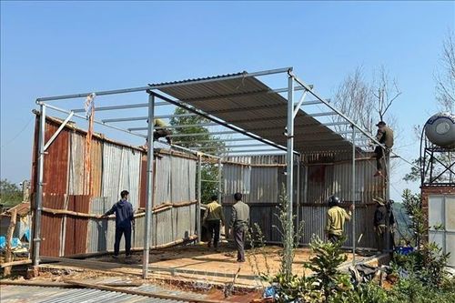 Hơn 1.800 ha đất rừng ở Lâm Đồng bị lấn chiếm trái phép