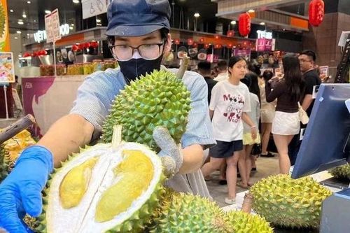 Trái sầu riêng với 'nỗi sầu' rớt giá