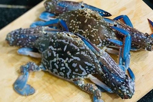 Ghẹ Việt Nam 'rộng đường' vào thị trường Mỹ