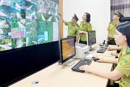 Ứng dụng công nghệ số giữ màu xanh cho rừng