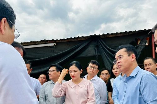 Lãnh đạo thành phố Đà Nẵng kiểm tra các dự án trường học chậm tiến độ tại xã Tam Xuân và Núi Thành