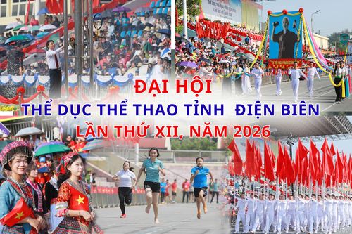 Khát vọng vươn tới những tầm cao