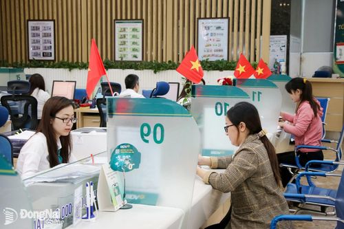 Dư nợ cho vay đối với lĩnh vực nông - lâm - thủy sản đạt hơn 4,3 ngàn tỷ đồng