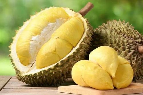 Ăn sầu riêng như thế nào để tốt cho sức khỏe?