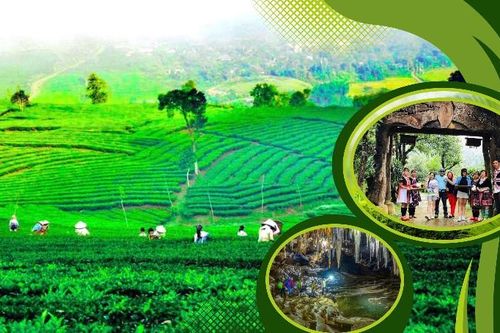 Kỳ 1: Phát triển chưa tương xứng tiềm năng