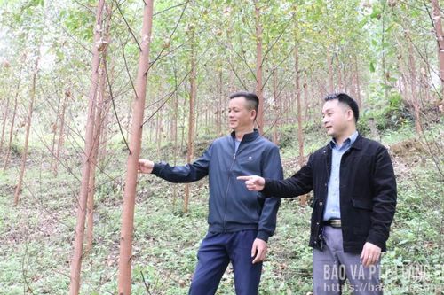 Đưa tín dụng chính sách đến người dân
