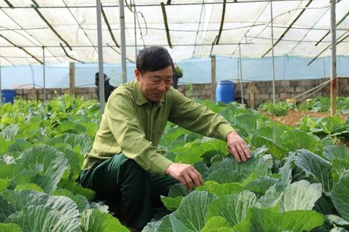 Lan tỏa phong trào 'Cựu chiến binh gương mẫu'