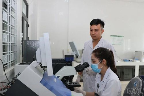 Trung tâm Y tế khu vực Bát Xát vận hành ổn định tại cơ sở mới