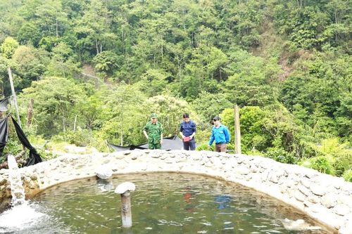 Sức sống mới ở Hồng Ngài