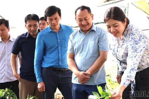 Đoàn công tác xã Mường Chanh học tập kinh nghiệm phát triển du lịch cộng đồng tại xã Mù Cang Chải