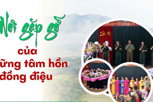 Nơi gặp gỡ của những tâm hồn đồng điệu