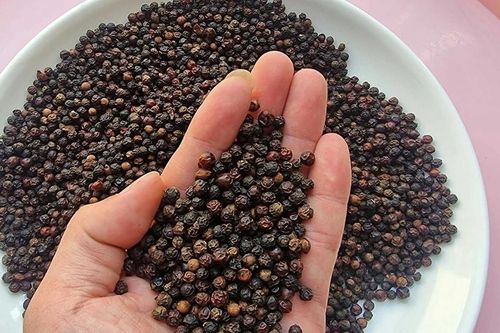 Giá tiêu hôm nay 13/5/2026: Giá nội địa tăng nhẹ, Việt Nam khẳng định vị thế tại Mỹ