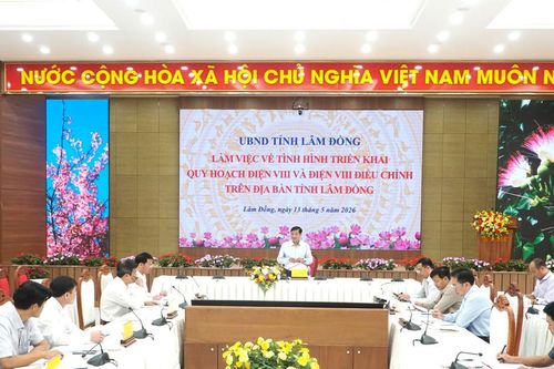Lâm Đồng rà soát 31 dự án điện theo Quy hoạch điện VIII