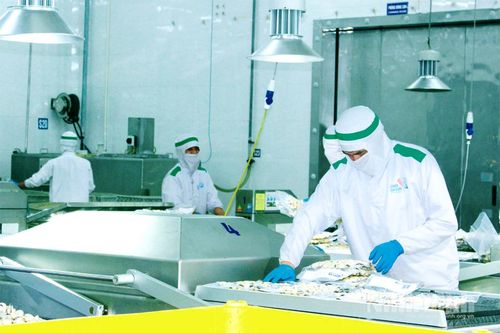 Ninh Bình phát triển vùng nuôi ngao bền vững