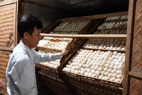 Làm giàu trên vùng đất khó