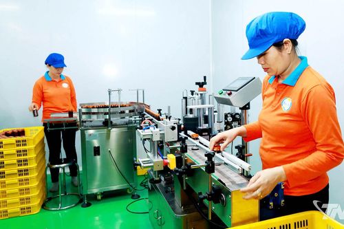 Tạo động lực mới cho kinh tế tư nhân