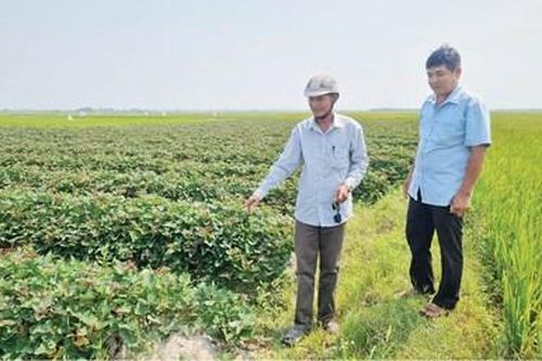 Những 'hạt nhân đoàn kết'