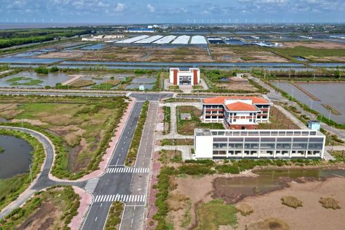 Gỡ vướng cho Khu nông nghiệp ứng dụng công nghệ cao phát triển tôm Bạc Liêu