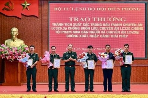 Chi cục Hải quan khu vực VII được biểu dương trong đấu tranh chống tội phạm vận chuyển hàng hóa trái phép qua biên giới