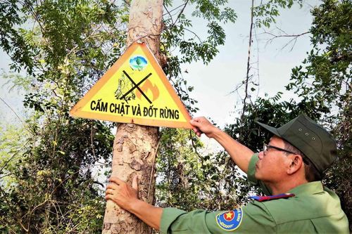 Khánh Hòa: Nguy cơ cháy rừng cao nhất cả nước